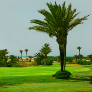 manif golf events