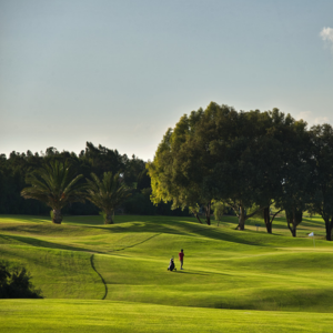 golf citrus hammamet